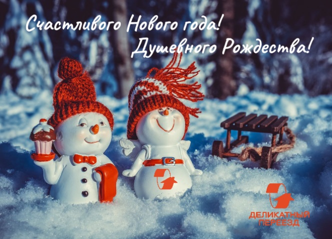 Деликатный_переезд_С_Новым_годом!.jpg